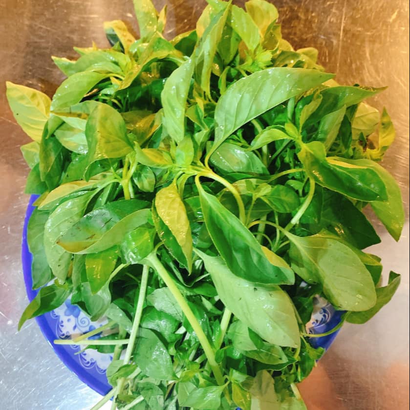 Rau củ tươi ngon dùng cho lẩu gà